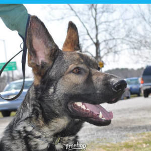 Meet your Posher, Heather